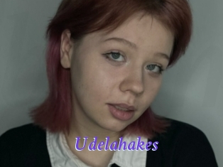 Udelahakes