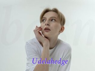 Udelahedge