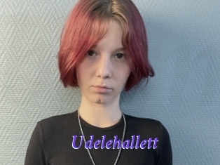 Udelehallett