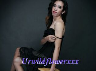 Urwildflowerxxx