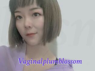 Vaginalplumblossom