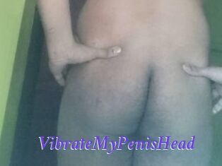 VibrateMyPenisHead