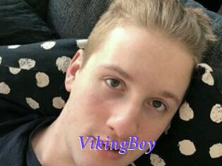 VikingBoy