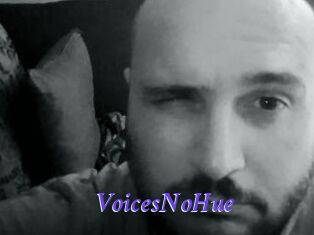 VoicesNoHue