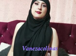 Vanezacolinas