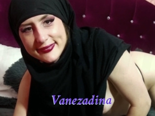 Vanezadina