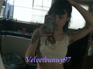 Velvetbunny97