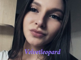 Velvetleopard