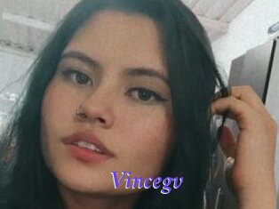 Vincegv