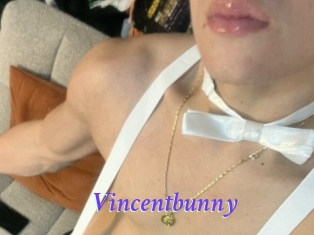 Vincentbunny