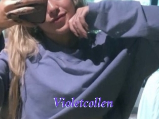 Violetcollen