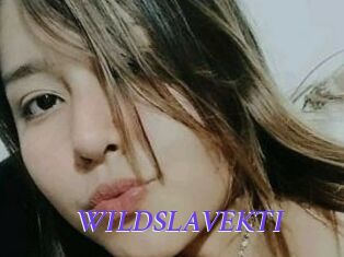 WILDSLAVEKTI