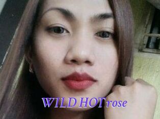 WILD_HOTrose