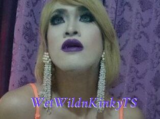 WetWildnKinkyTS