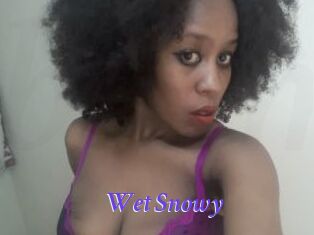 Wet_Snowy