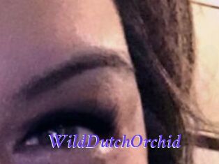 WildDutchOrchid