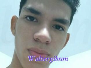 Waltergibson
