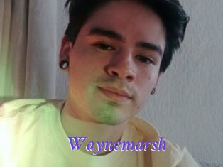 Waynemarsh