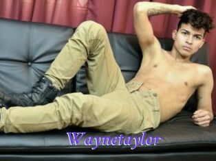 Waynetaylor