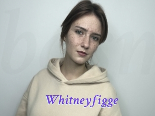 Whitneyfigge