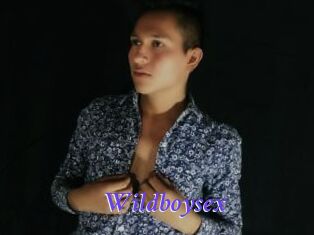 Wildboysex