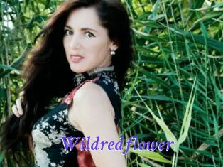 Wildredflower