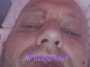 Wildsparky69