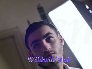 wildwildstud Bdsm gratuit