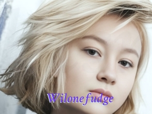 Wilonefudge