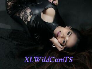 XLWildCumTS