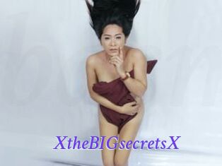 XtheBIGsecretsX