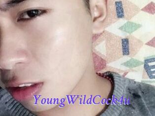 YoungWildCock4u