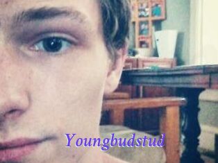 Youngbudstud