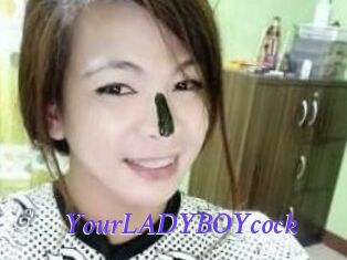 YourLADYBOYcock