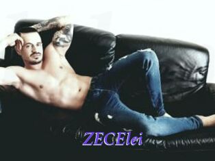 ZECElei