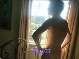 Zboy23