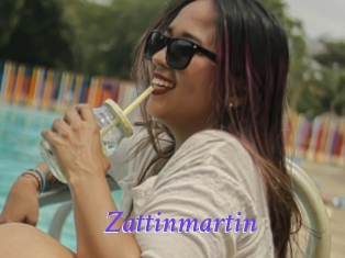 Zattinmartin