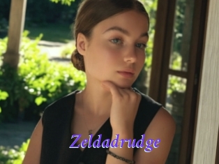 Zeldadrudge