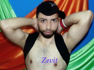 Zevit