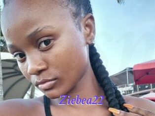 Ziebea22