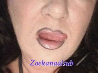 zoekanaalsub Bdsm gratuit